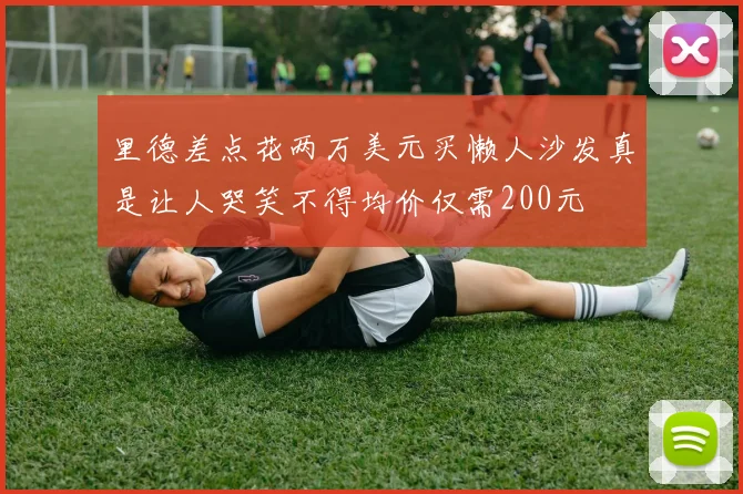 里德差点花两万美元买懒人沙发真是让人哭笑不得均价仅需200元