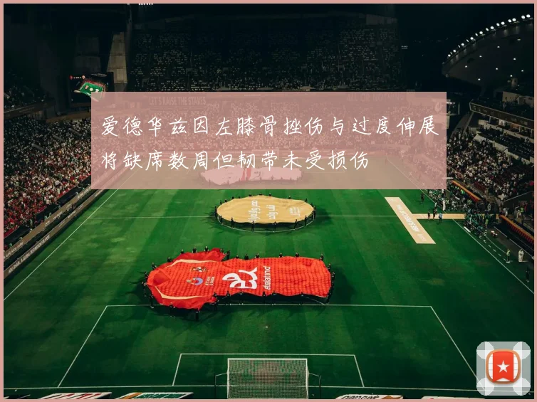 爱德华兹因左膝骨挫伤与过度伸展将缺席数周但韧带未受损伤
